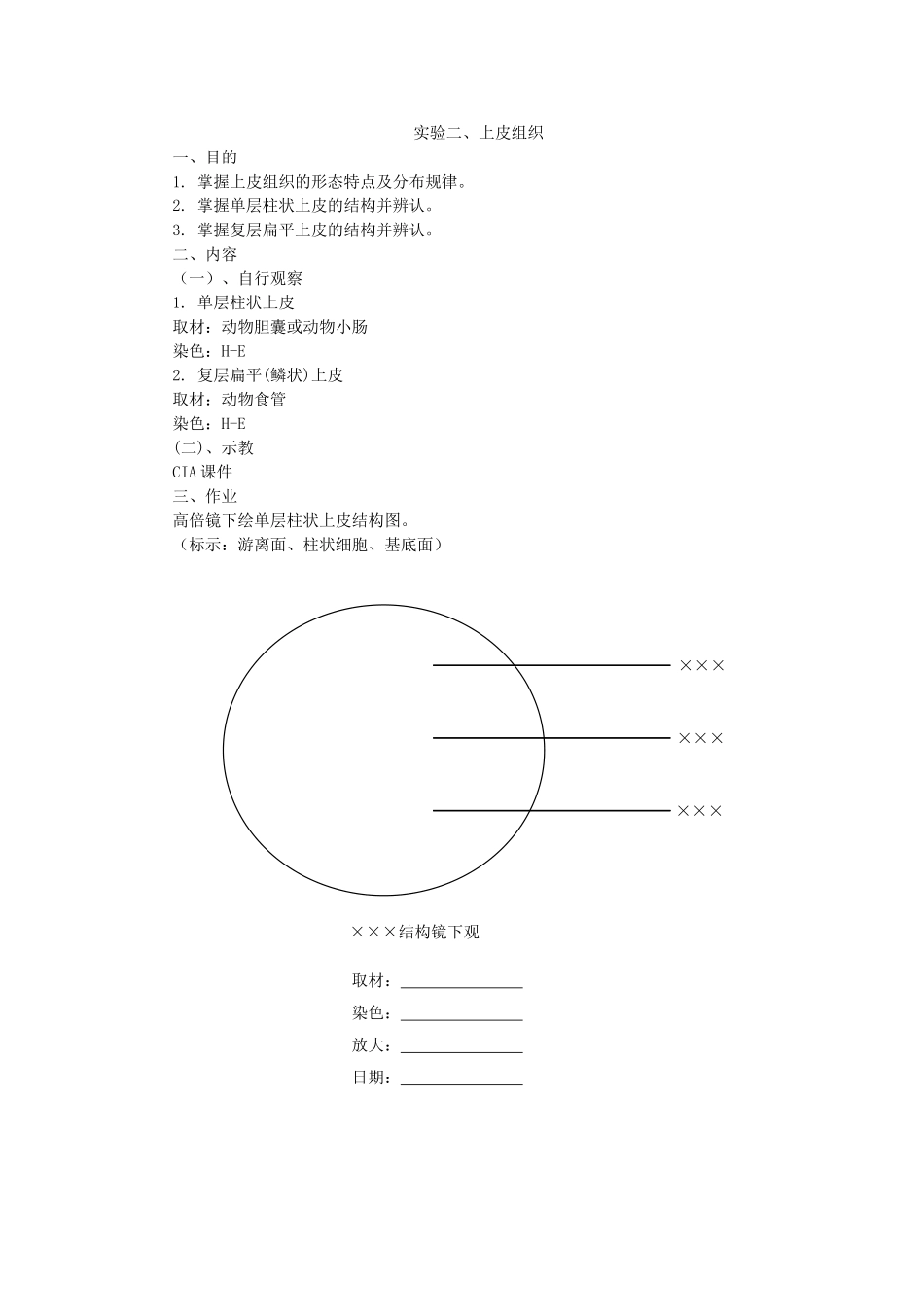 组胚实验作业(临床)_第2页