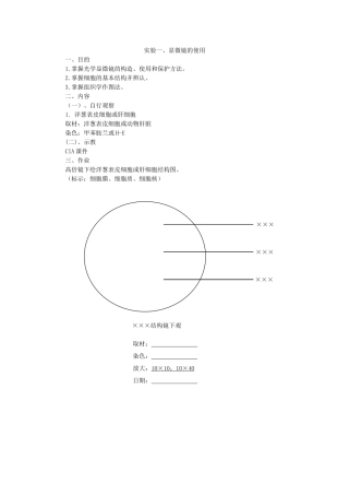 组胚实验作业(临床)