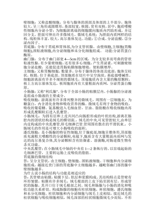 组胚名词解释2