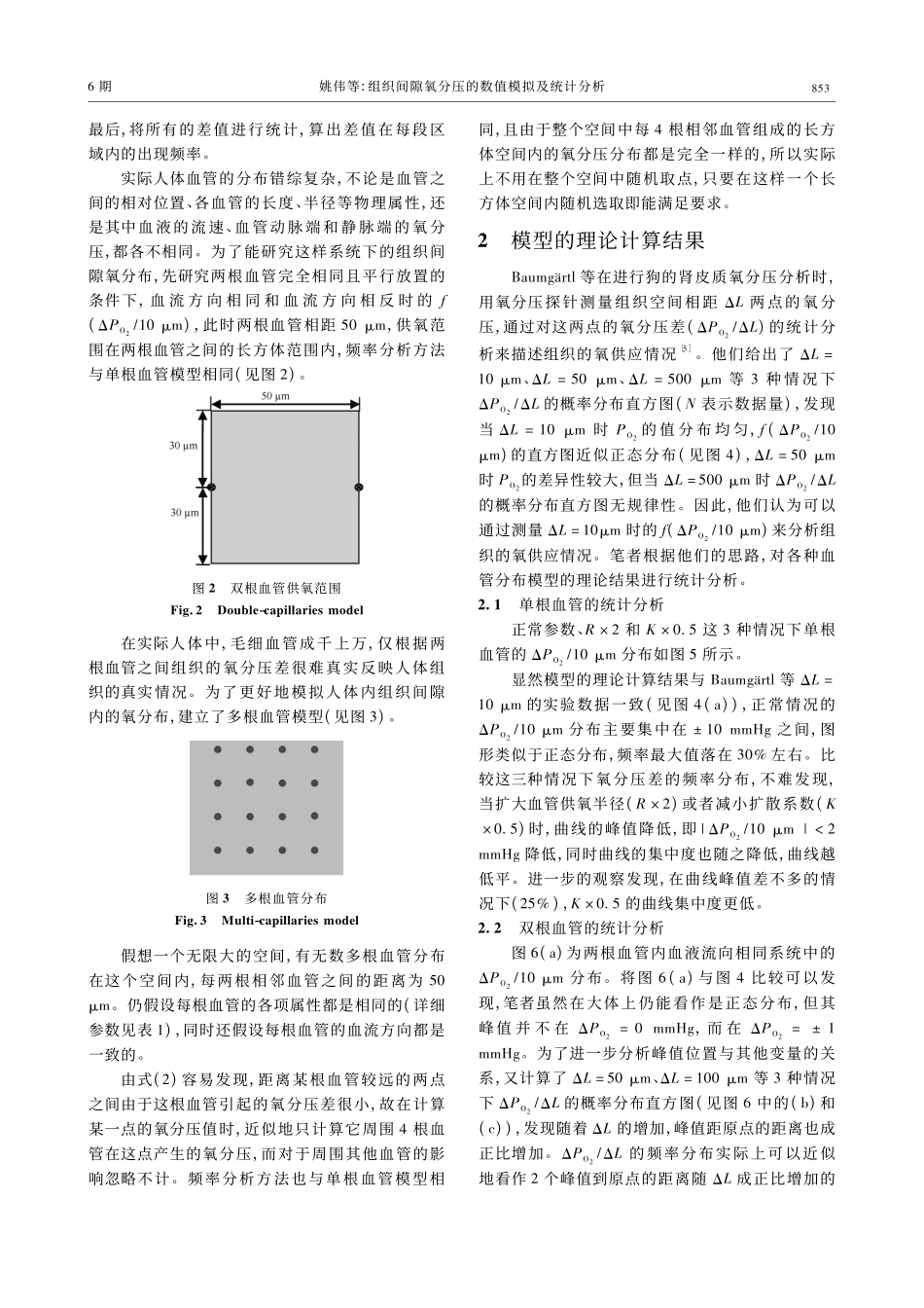组织间隙氧分压的数值模拟及统计分析_第3页