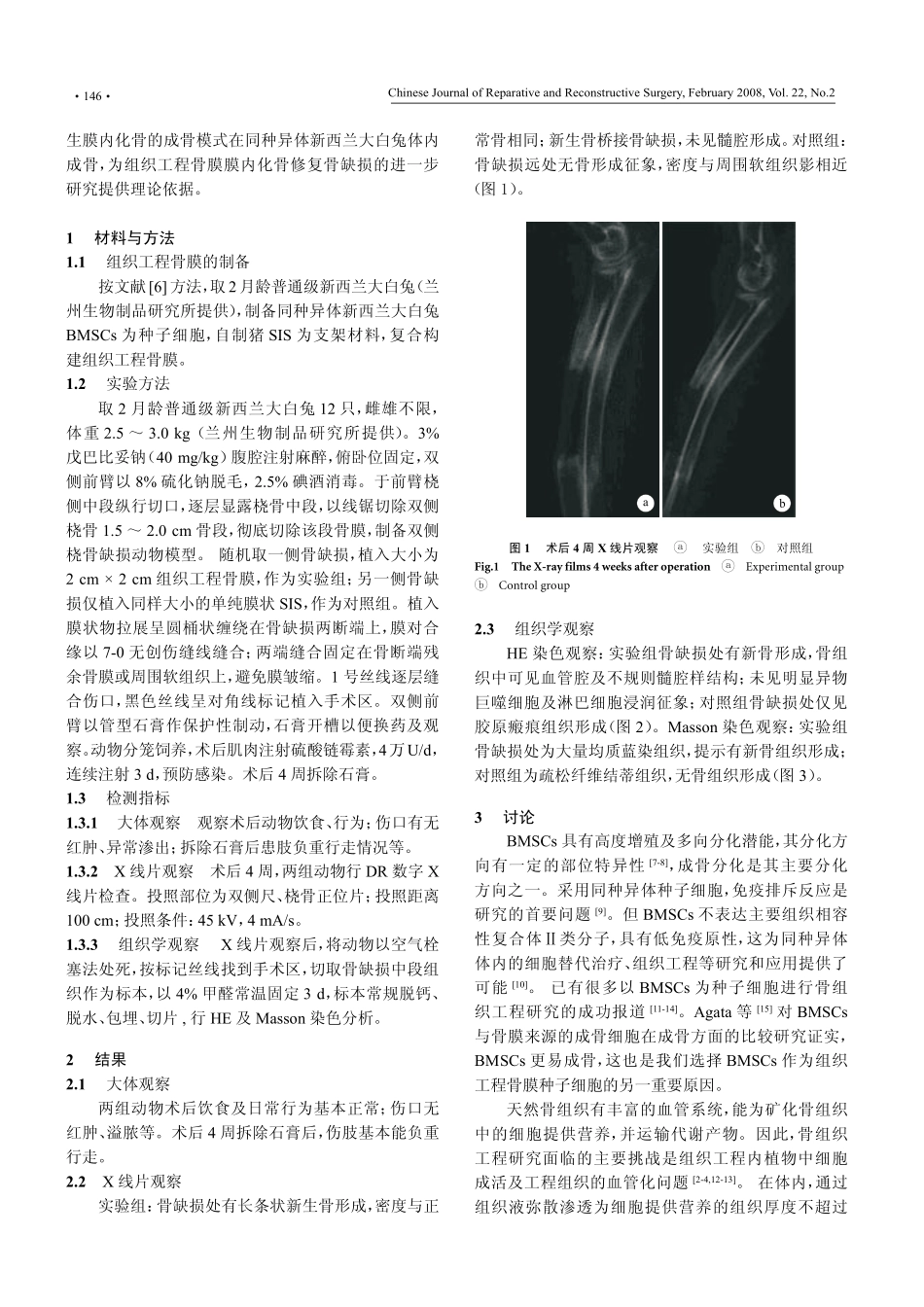 组织工程骨膜异体体内成骨修复兔骨缺损的初步观察_第2页