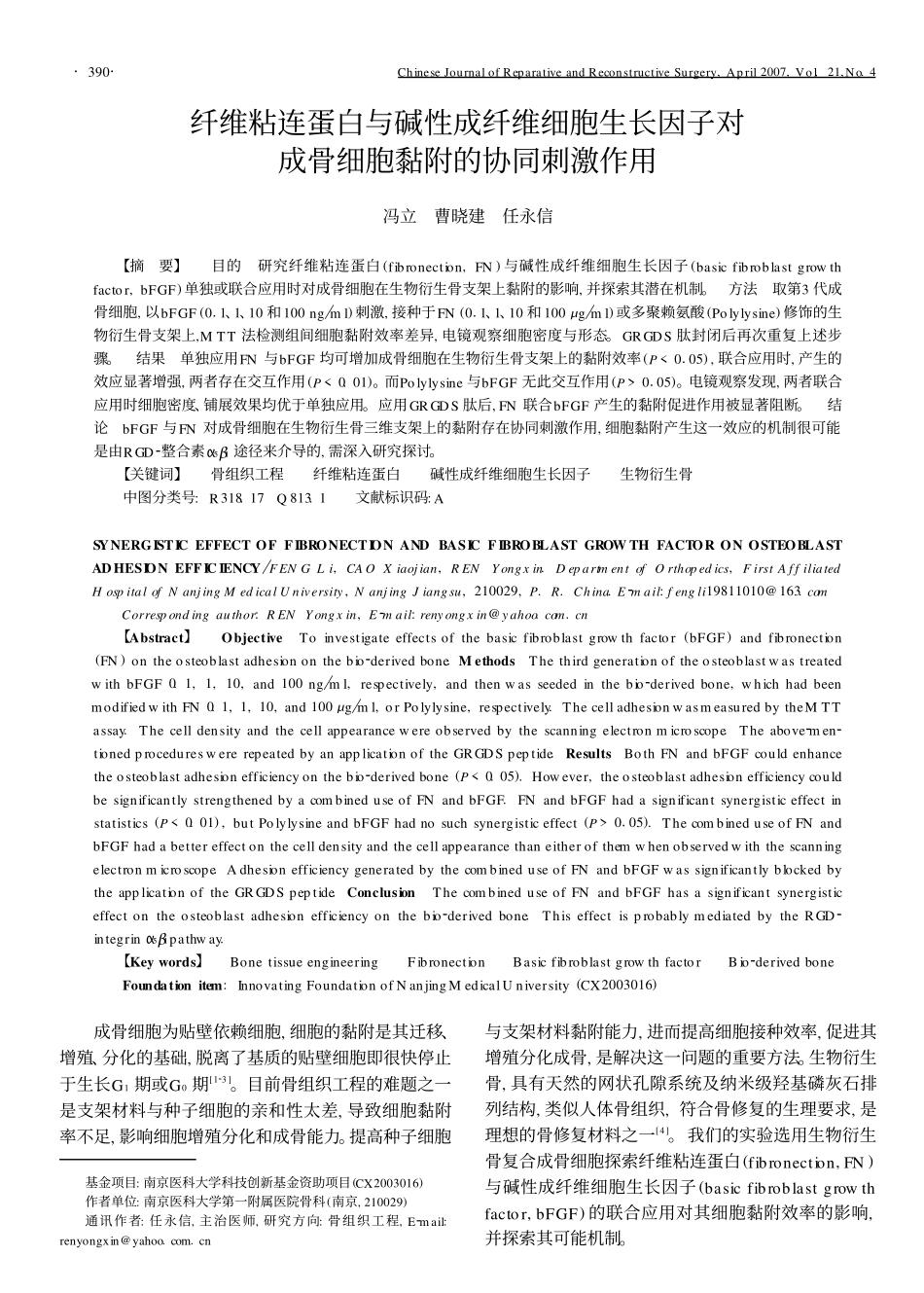 纤维粘连蛋白与碱性成纤维细胞生长因子对成骨细胞黏附的协同刺激作用_第1页