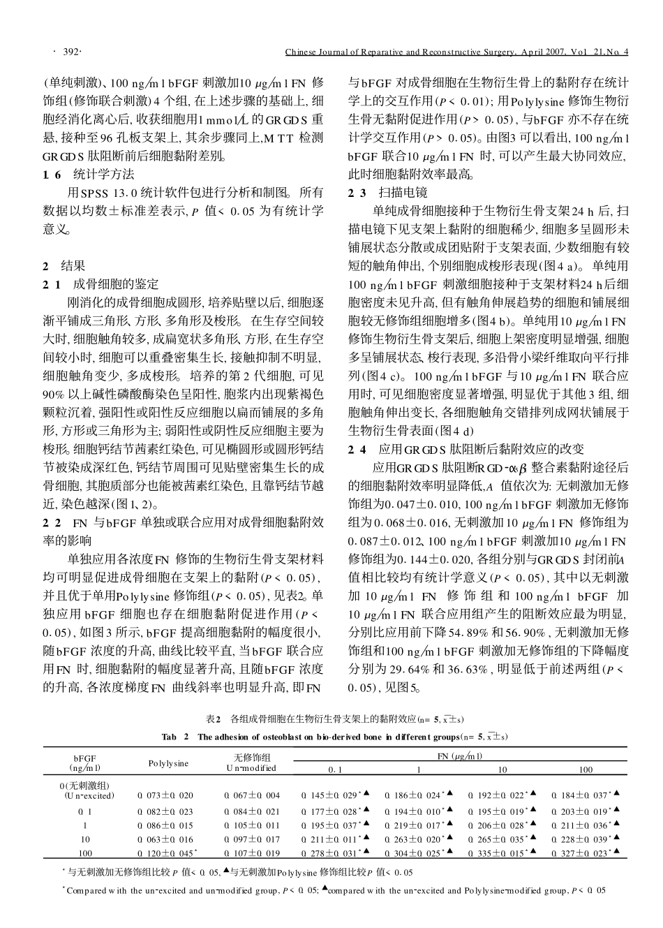 纤维粘连蛋白与碱性成纤维细胞生长因子对成骨细胞黏附的协同刺激作用_第3页