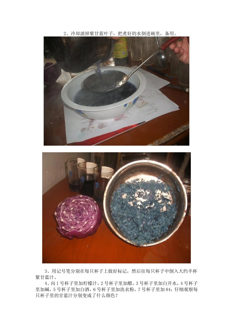 紫甘蓝汁酸碱变化实验_第2页