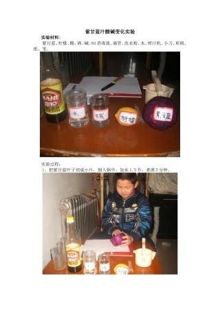 紫甘蓝汁酸碱变化实验