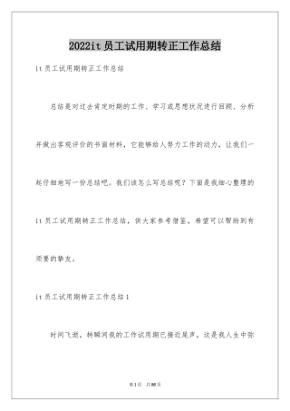 2024it员工试用期转正工作总结_2