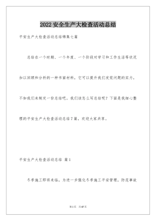 2024安全生产大检查活动总结