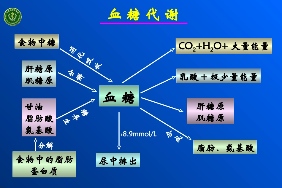 糖尿病病理生理学_第3页