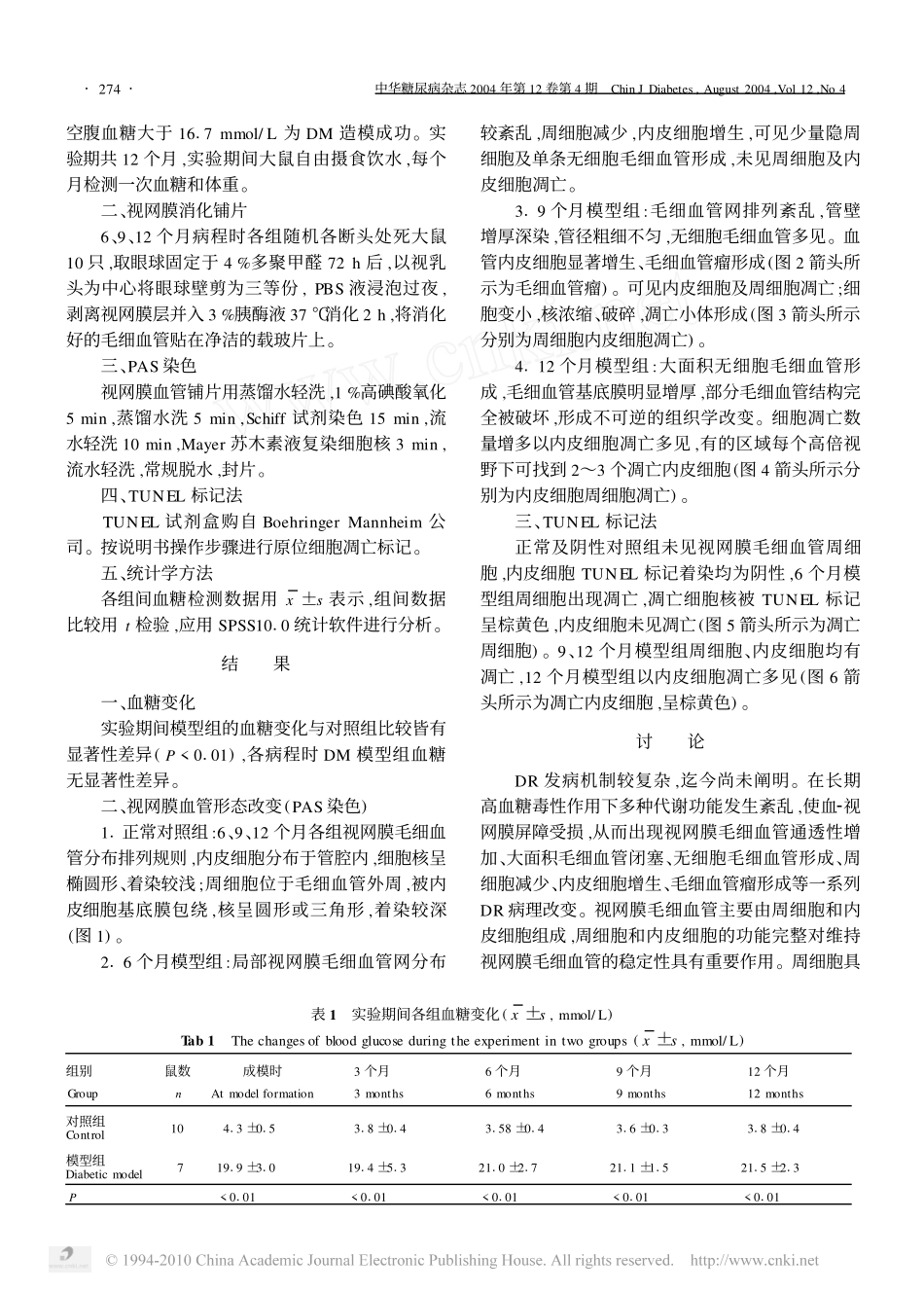 糖尿病大鼠视网膜病变细胞凋亡的观察_第2页