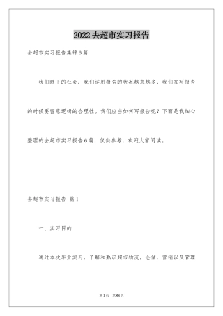 2024去超市实习报告_47