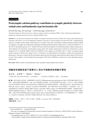 突触后钙通路有助于视网膜视锥与L型水平细胞之间的突触可塑性