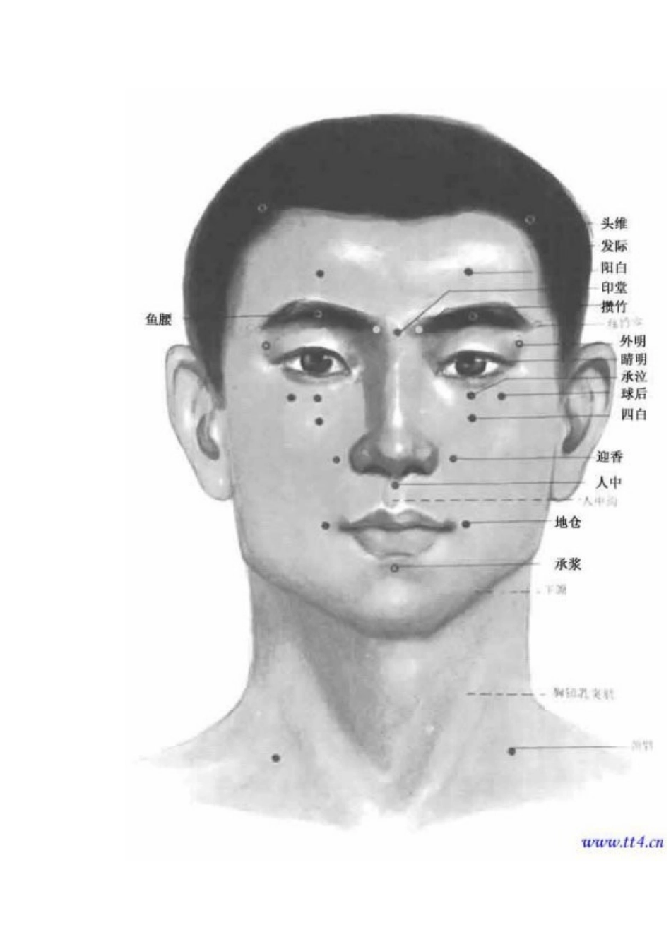 穴位疗法治疗色盲_第3页