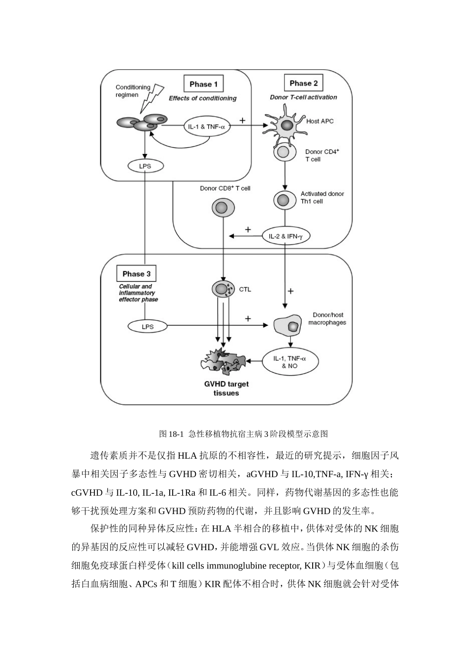 移植物抗宿主病_第3页