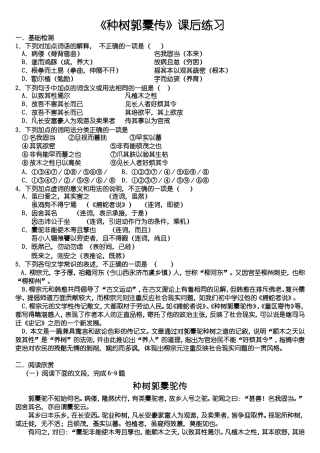 种树郭橐驼传课后练习题