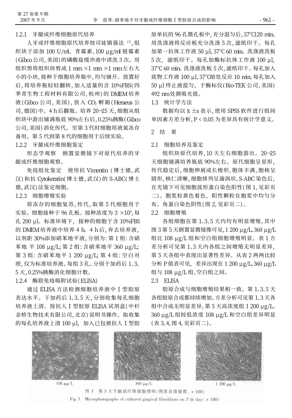 硝苯地平对牙龈成纤维细胞_型胶原合成的影响_第2页