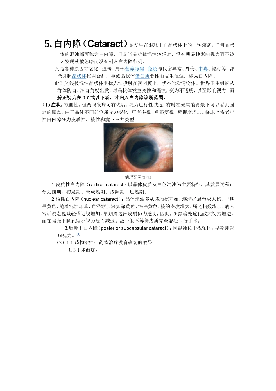 眼底检查常见问题_第3页