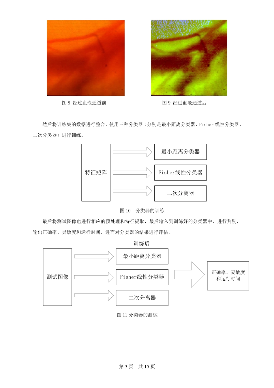眼底图像的病变识别_第3页