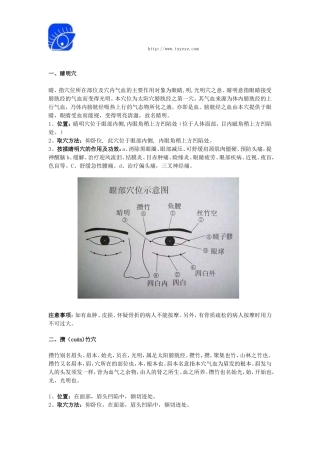 眼周9大穴位详解