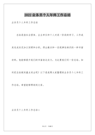 2024业务员个人年终工作总结