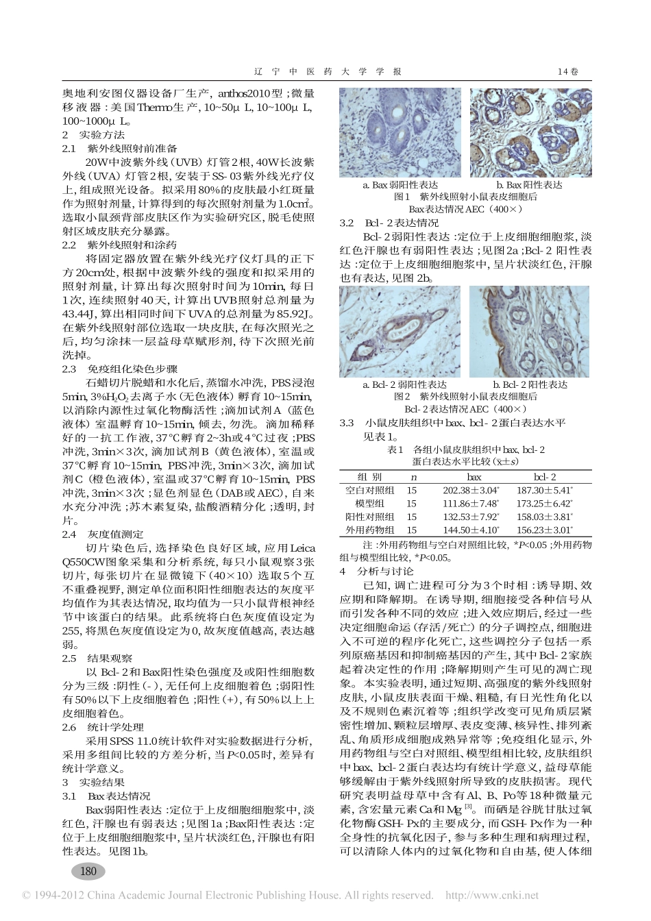 益母草对光老化皮肤组织中bax_bcl_2表达的影响_徐蓉_第2页