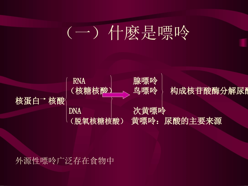 痛风的营养治疗方案_第3页