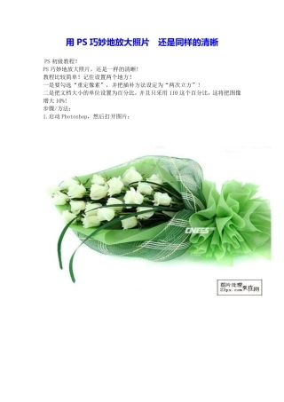 用PS巧妙地放大照片还是同样的清晰