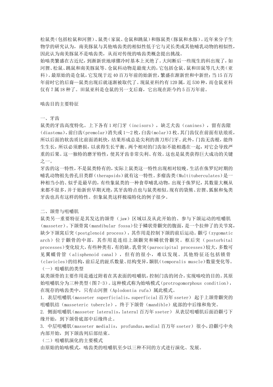 现代啮齿目动物的分类_第2页