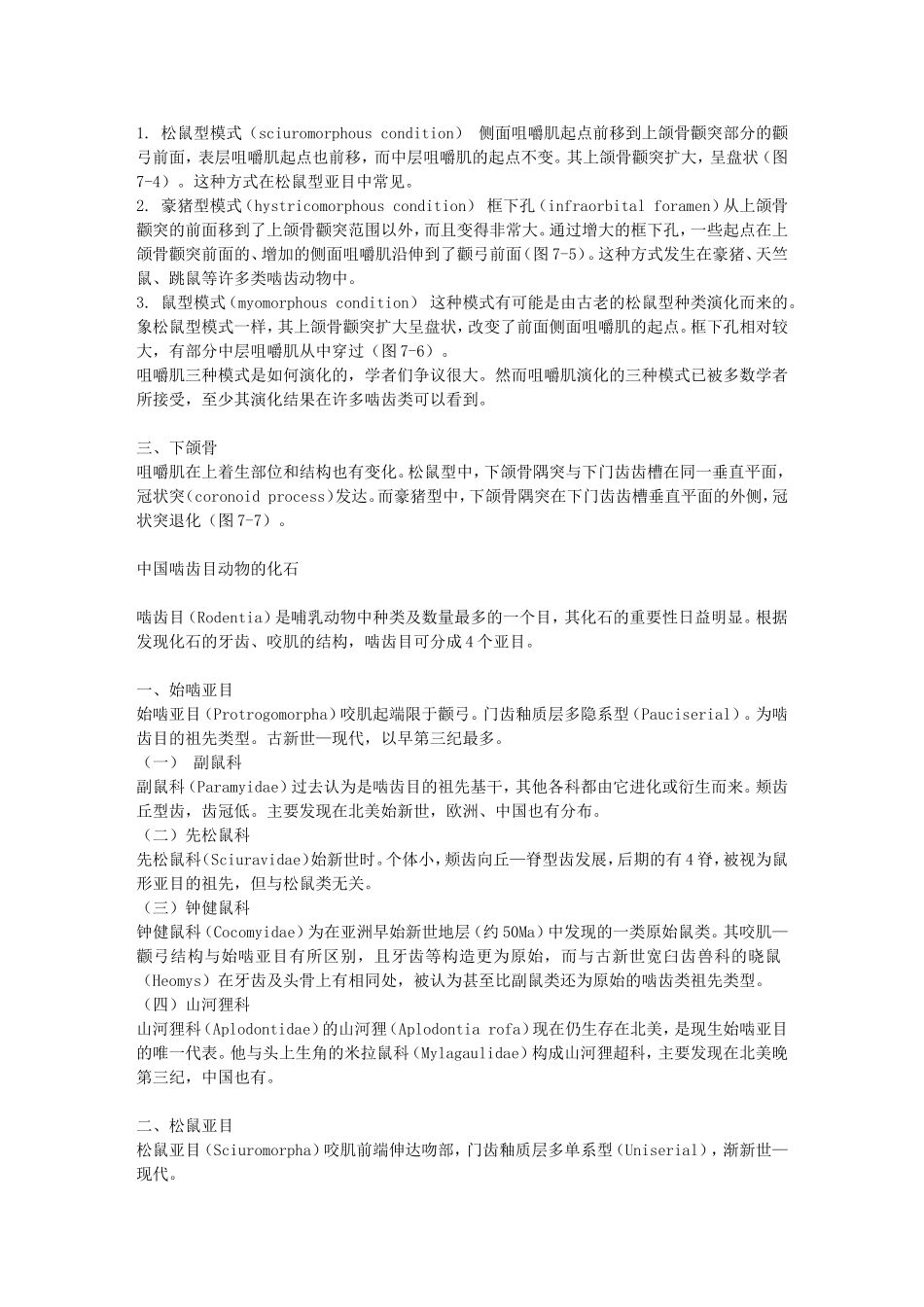 现代啮齿目动物的分类_第3页