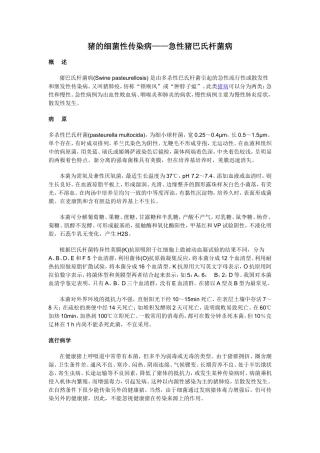 猪的细菌性传染病——急性猪巴氏杆菌病