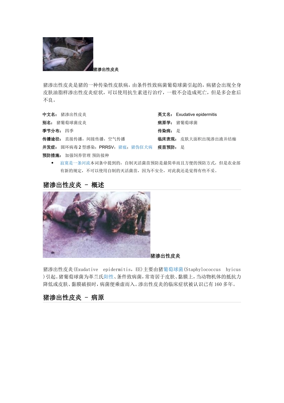 猪渗出性皮炎_第1页