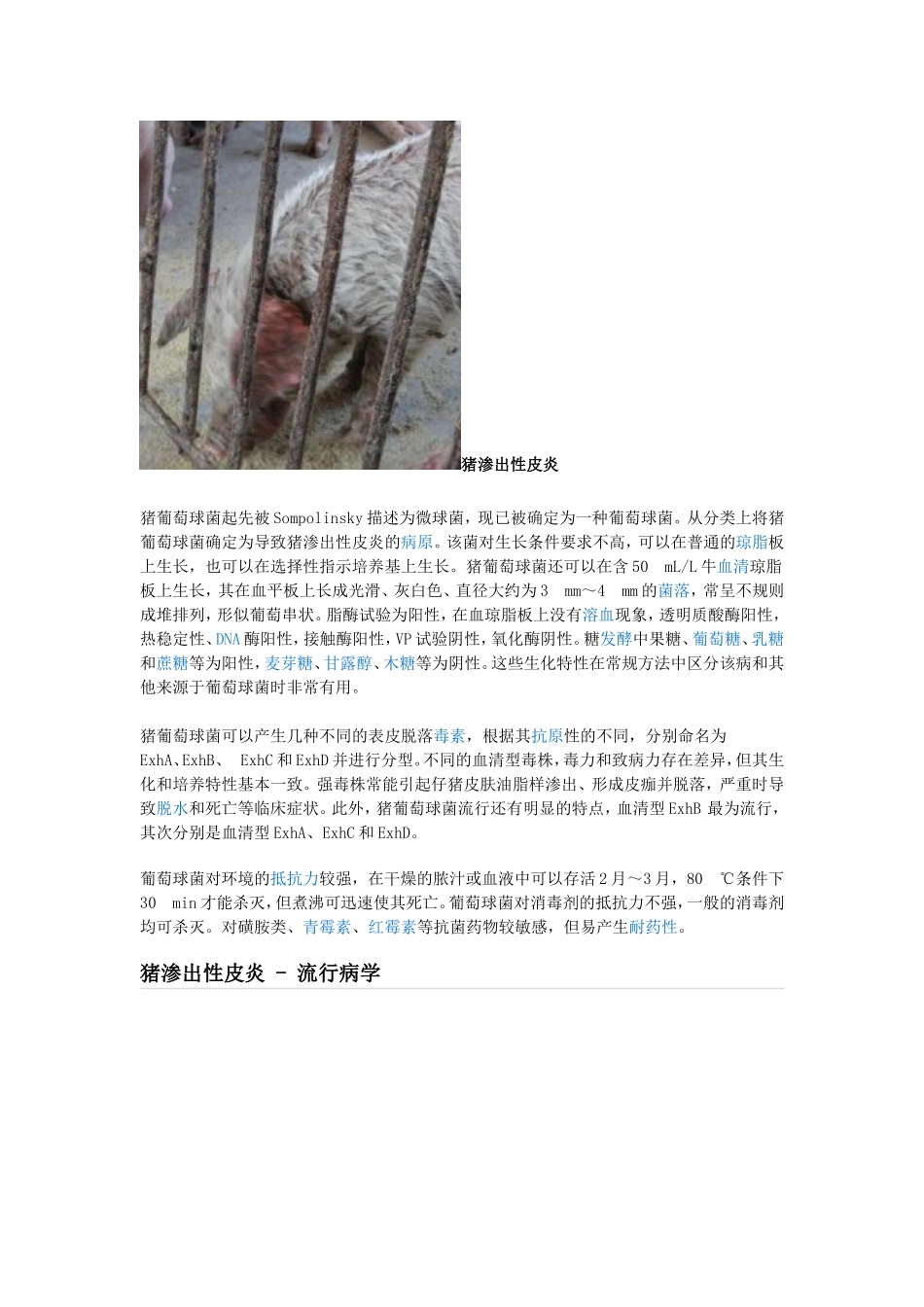 猪渗出性皮炎_第2页