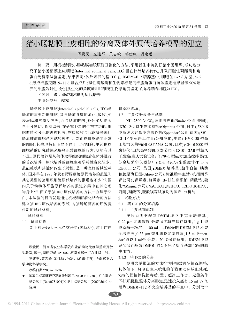 猪小肠粘膜上皮细胞的分离及体外原代培养模型的建立_第1页