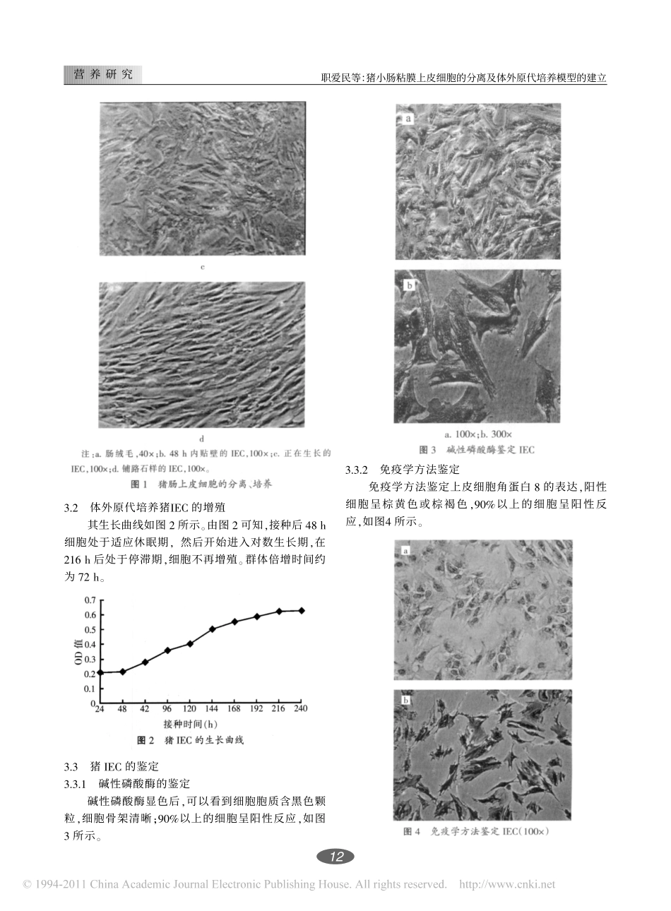 猪小肠粘膜上皮细胞的分离及体外原代培养模型的建立_第3页