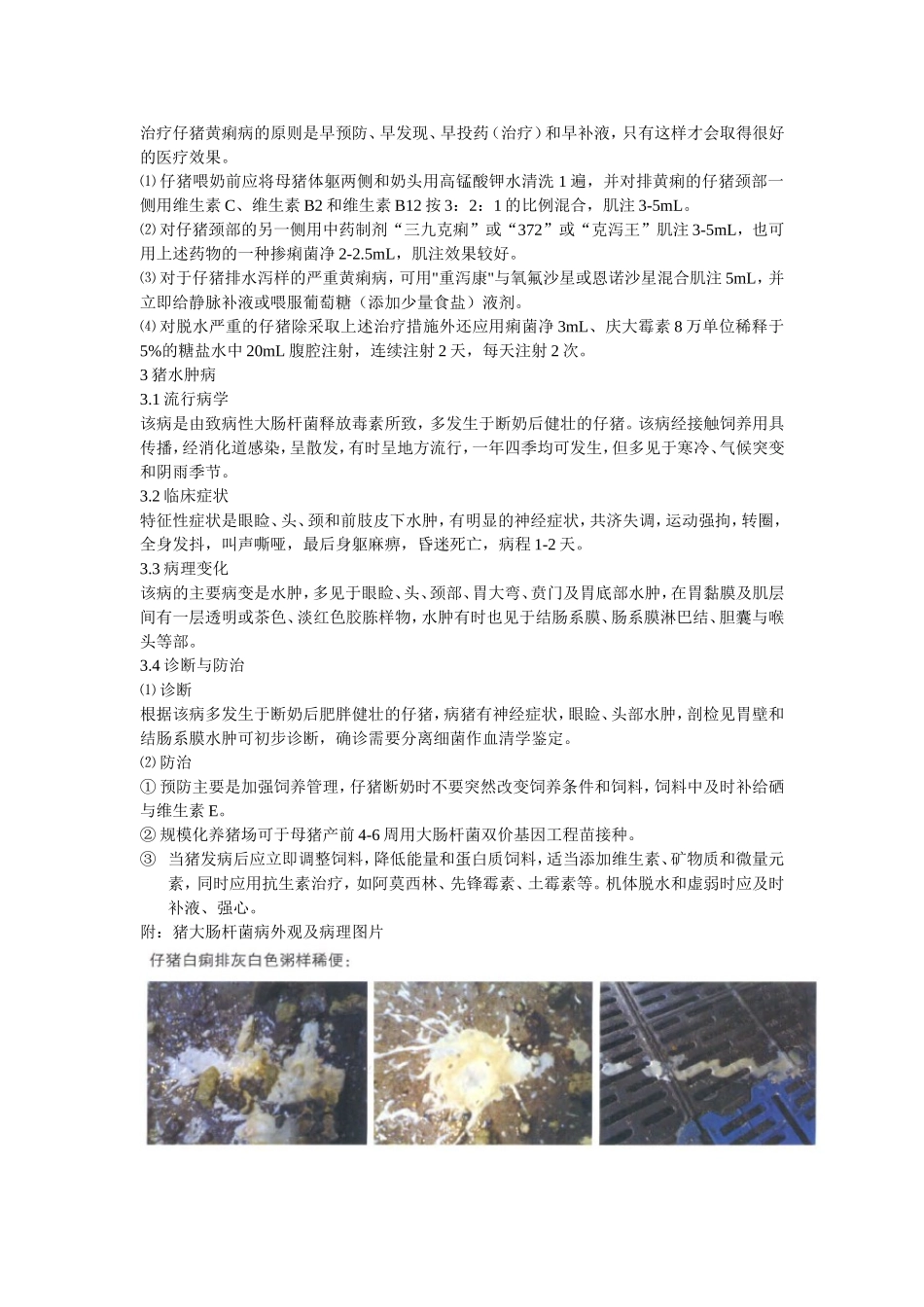 猪大肠杆菌&猪沙门氏菌_第2页
