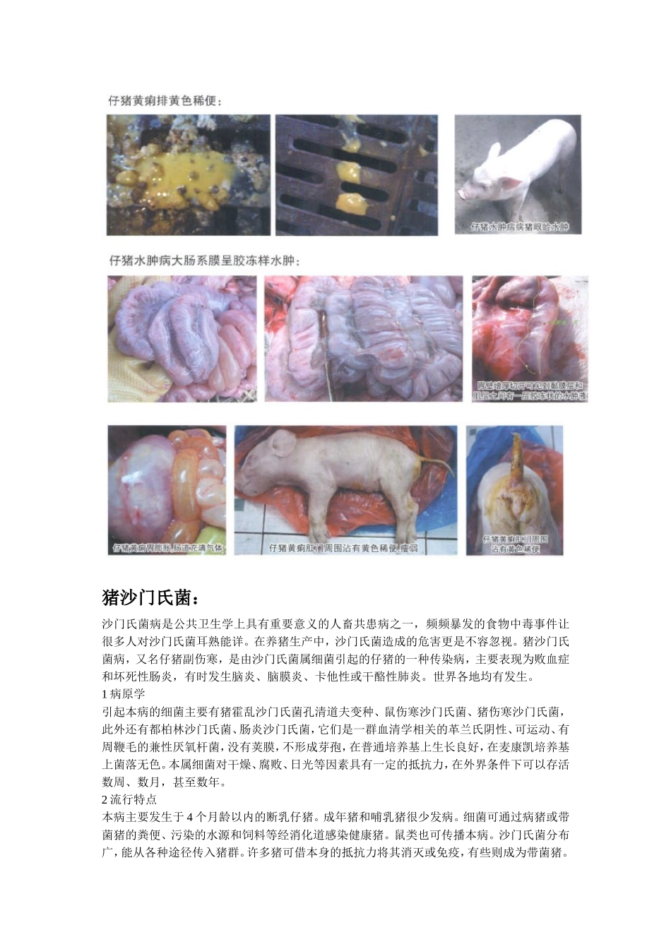 猪大肠杆菌&猪沙门氏菌_第3页