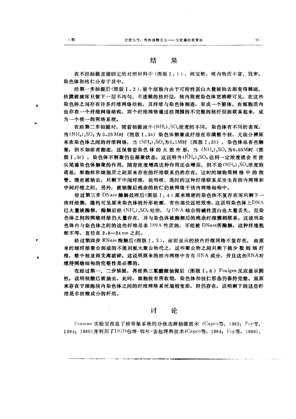 特殊涡鞭毛虫-尖尾藻的核骨架_第3页