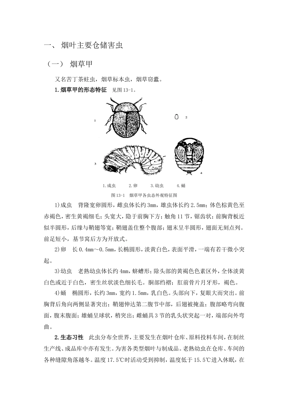 烟叶主要仓储害虫_第1页