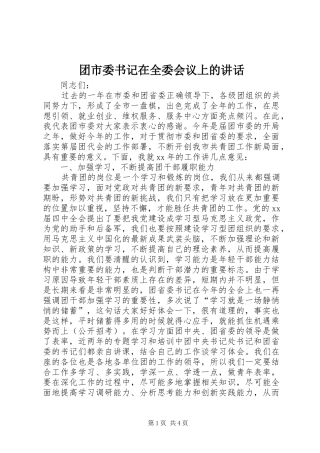 团市委书记在全委会议上的讲话发言