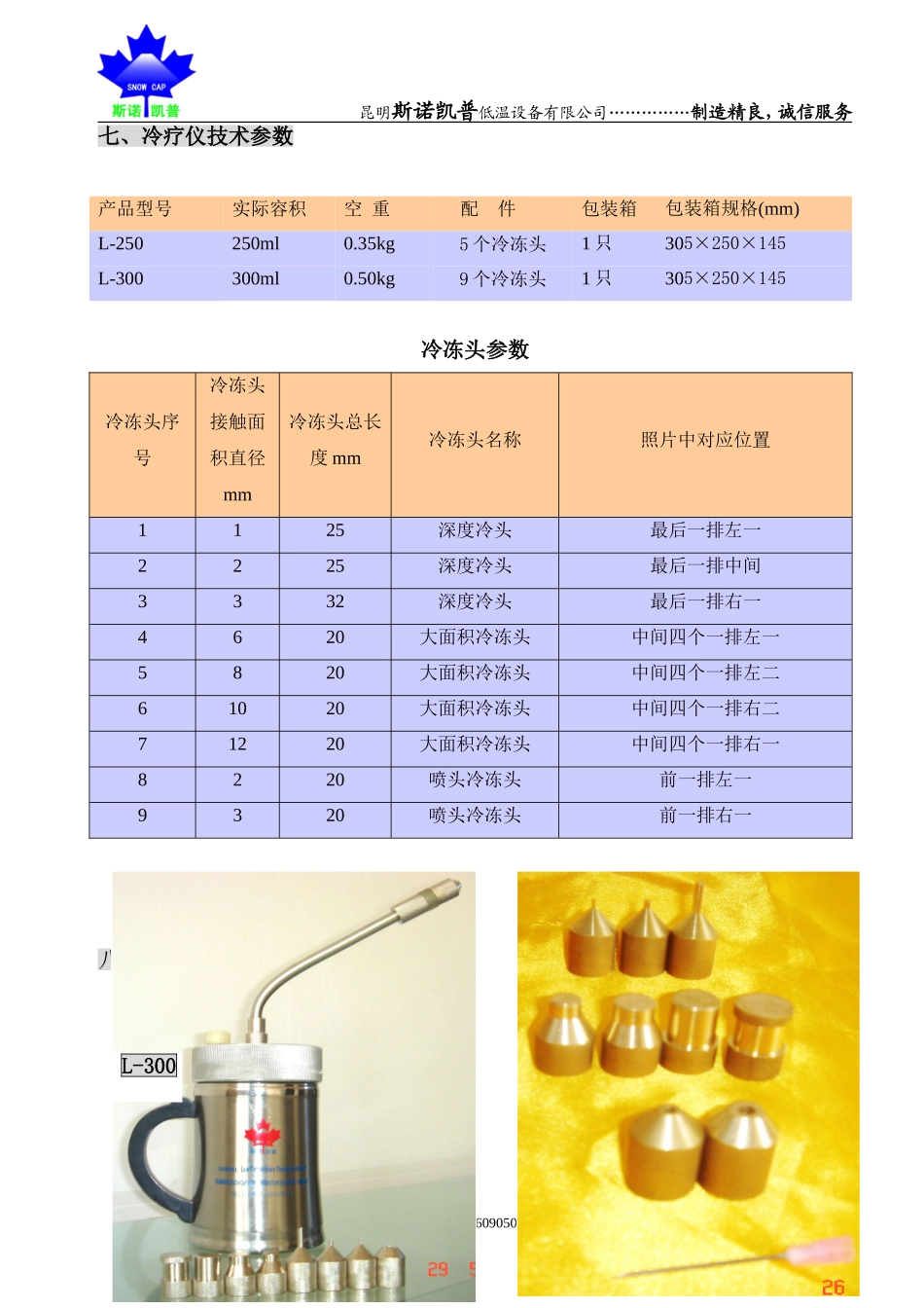 液氮冷冻治疗仪简介2_第3页