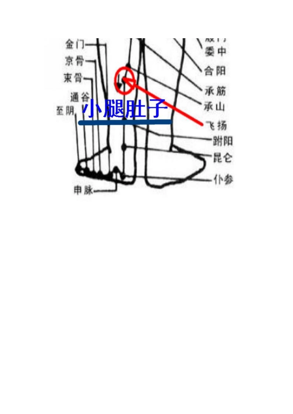 治腰痛的五个方法_第3页