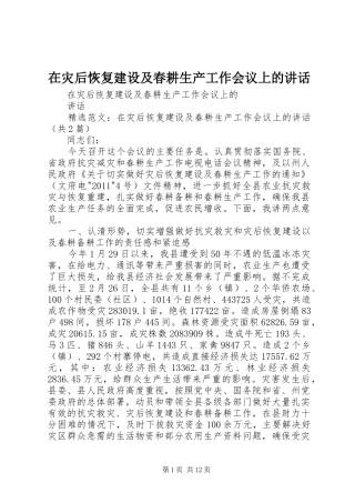 在灾后恢复建设及春耕生产工作会议上的讲话发言