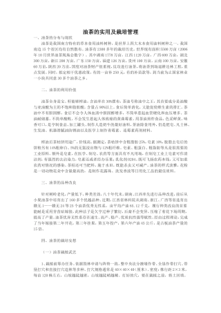 油茶的实用及栽培管理