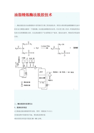 油脂精炼酶法脱胶技术