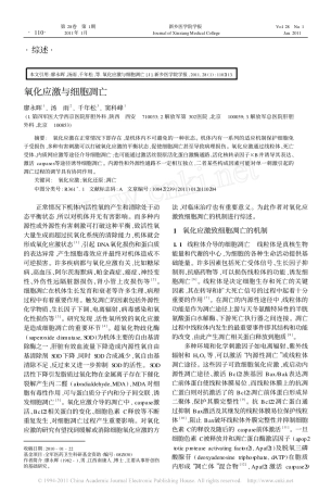 氧化应激与细胞凋亡