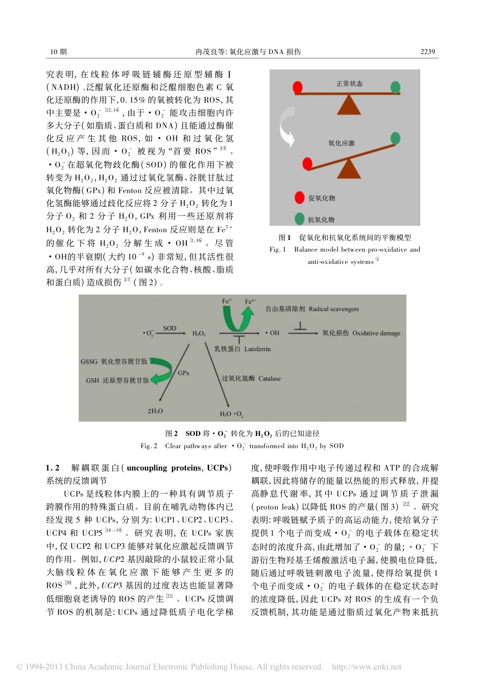 氧化应激与DNA损伤_冉茂良_第2页