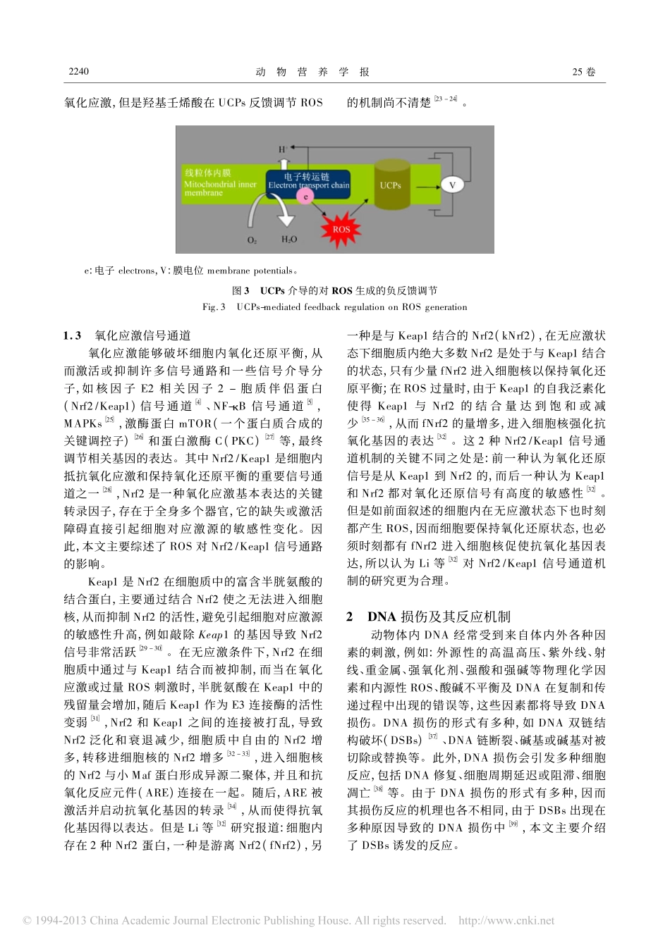 氧化应激与DNA损伤_冉茂良_第3页