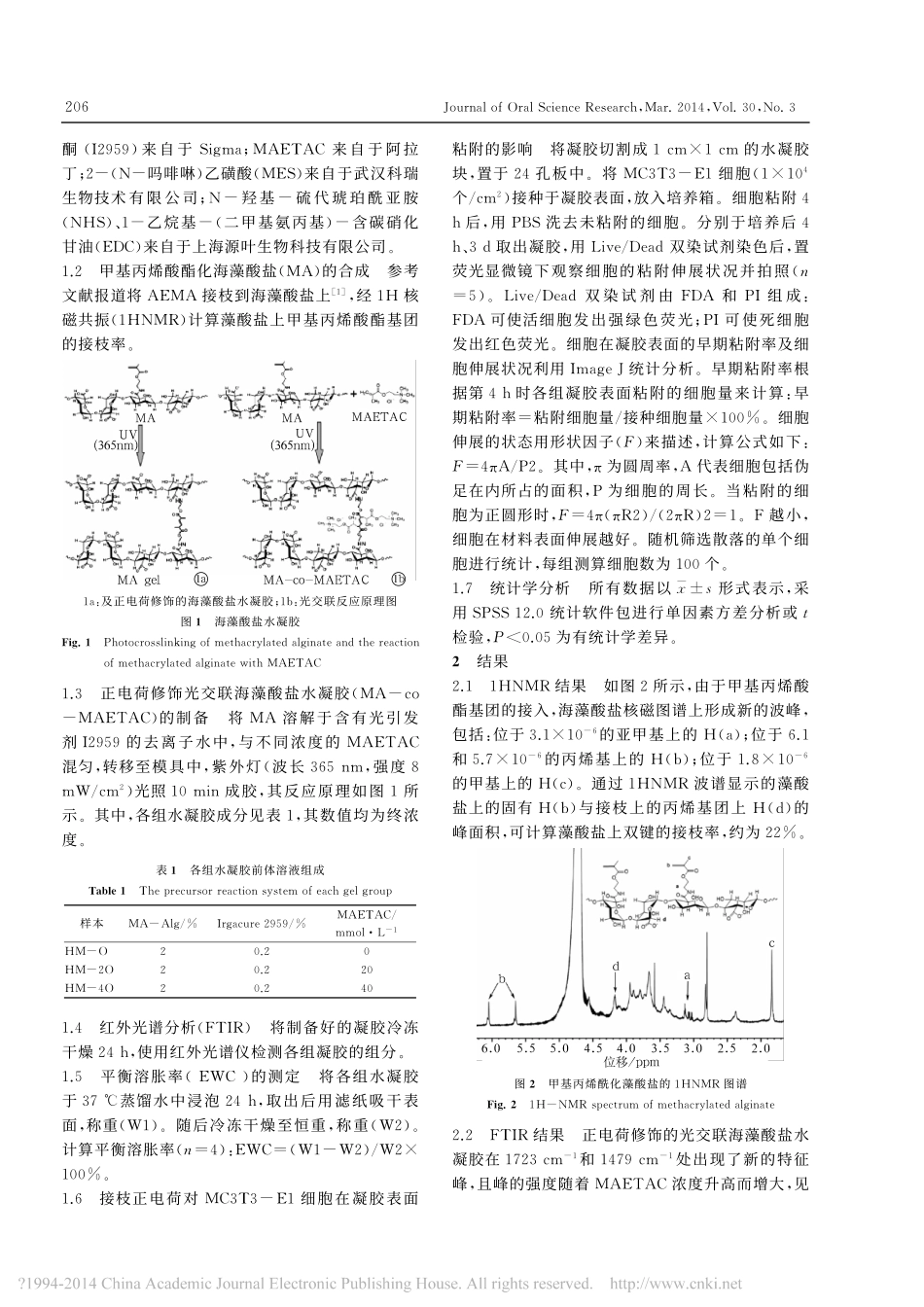 正电荷修饰对光交联海藻酸盐水凝胶支架细胞粘附性能的影响_尹苗_第2页