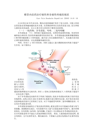 椎管内给药治疗癌性和非癌性疼痛的现状