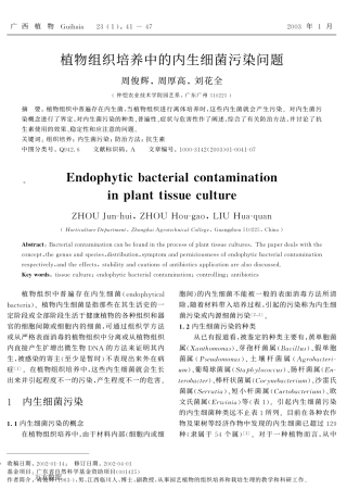 植物组织培养中的内生细菌污染问题