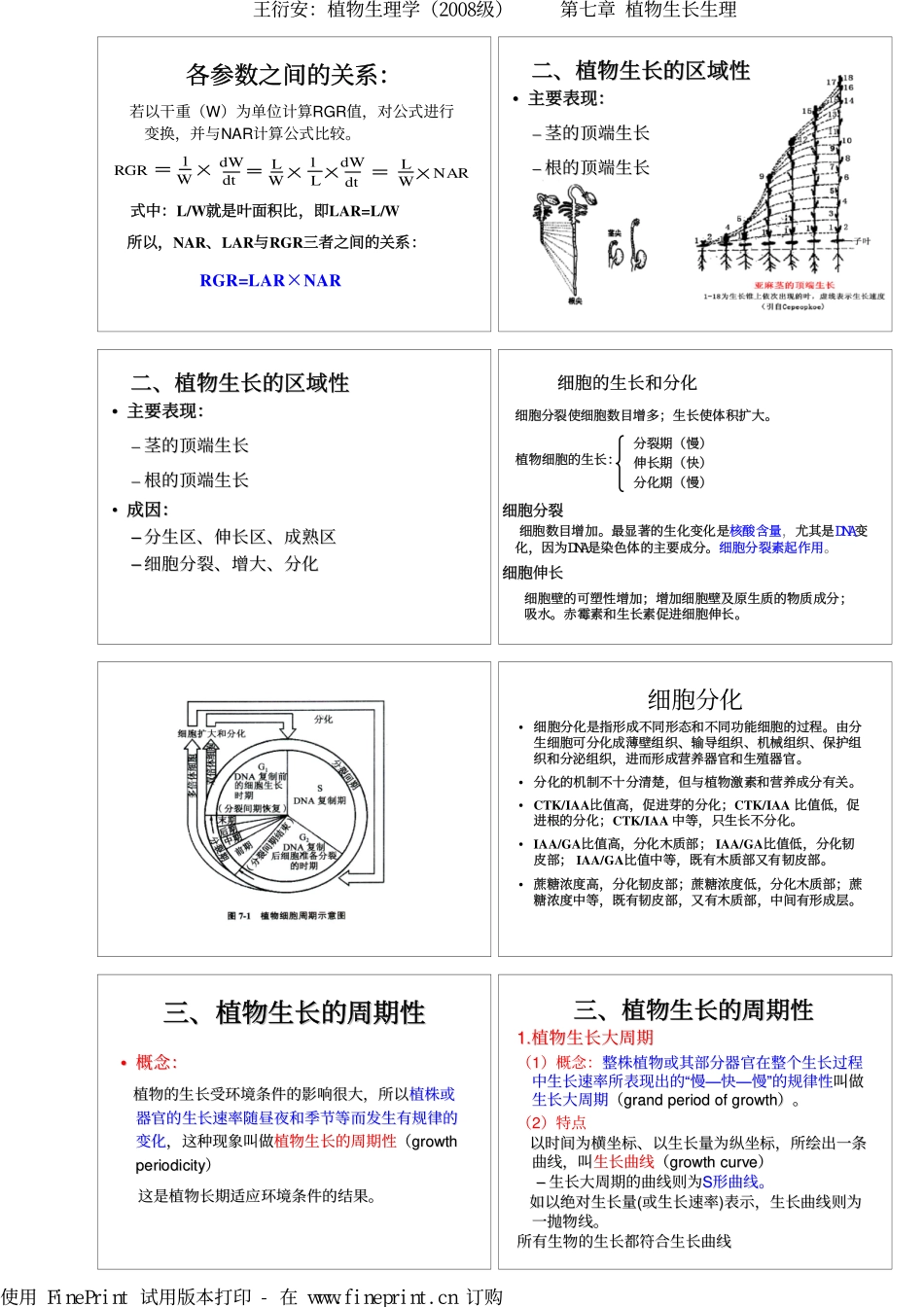 植物的生长生理_第2页